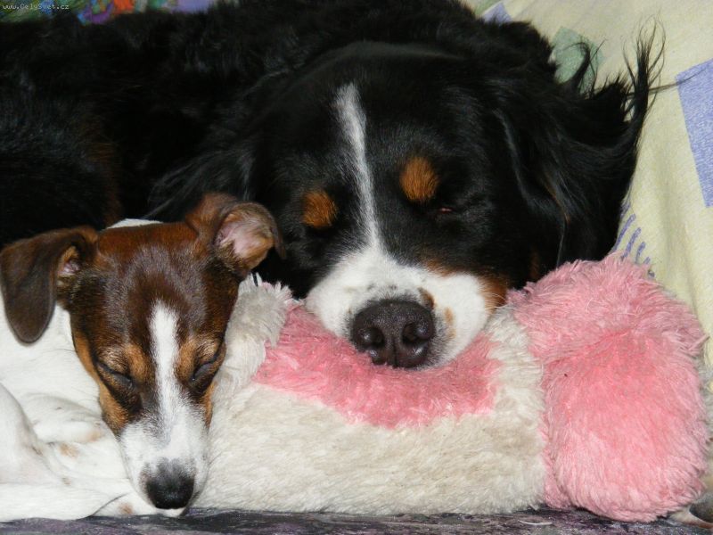 Foto: -ale r�dy se m�me..