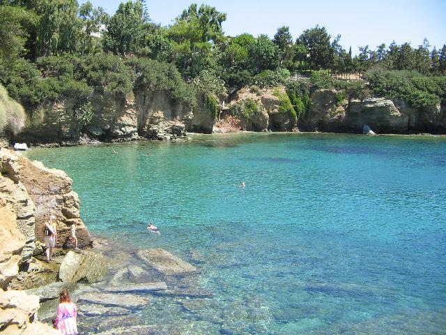 Fotky: �ecko (foto, obrazky)