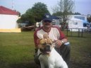 Ps plemena: Nkter plemena neuznan > Americk bulldog (American Bulldog)