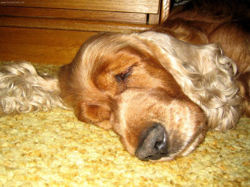 Foto: nejobl�ben�j�� poloha