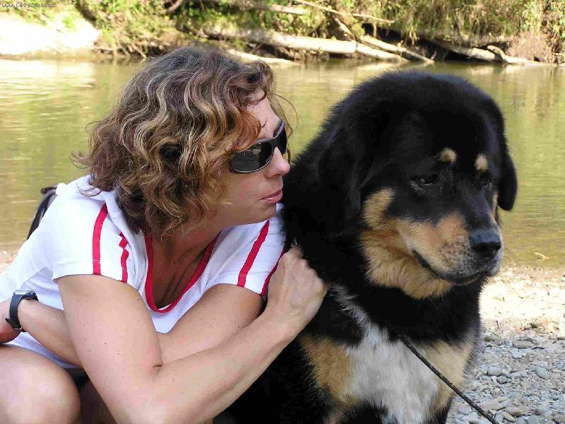 Foto: Pes nebo medv�d ?