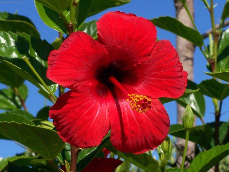 Foto: Ibi�ek - v Tunisku se mi l�b�