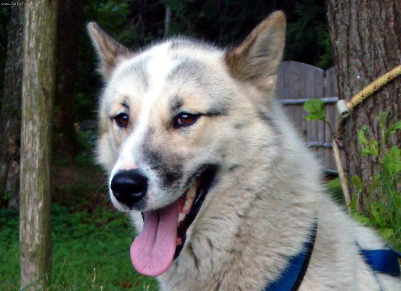 Foto: Bessi K�emenn� Val