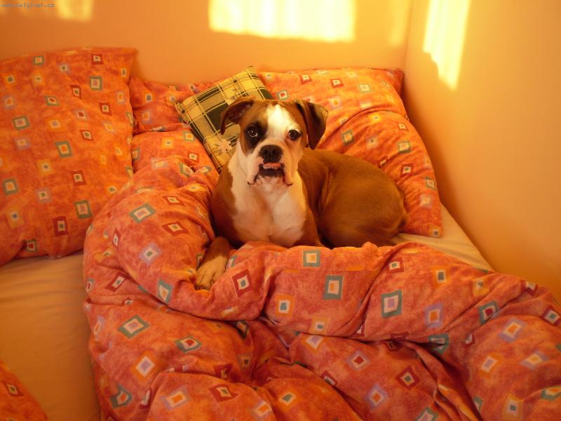 Foto: Barunka-siesti�ka