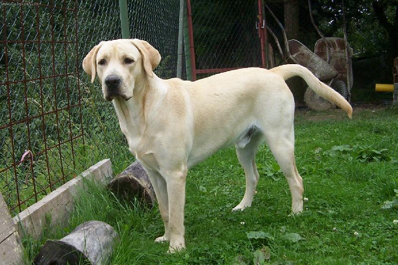 Foto: Max-Hl�d�m