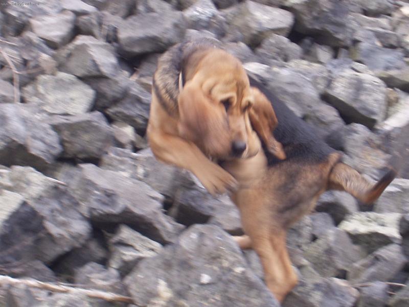 Foto: Jsem velk�,ale mr�tn�- Blair Iseb