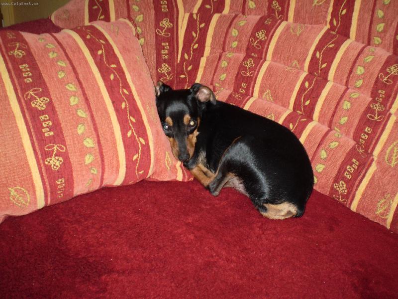 Foto: tam�a hajink�