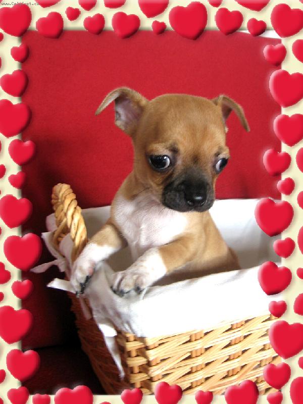 Foto: n� mazl��ek