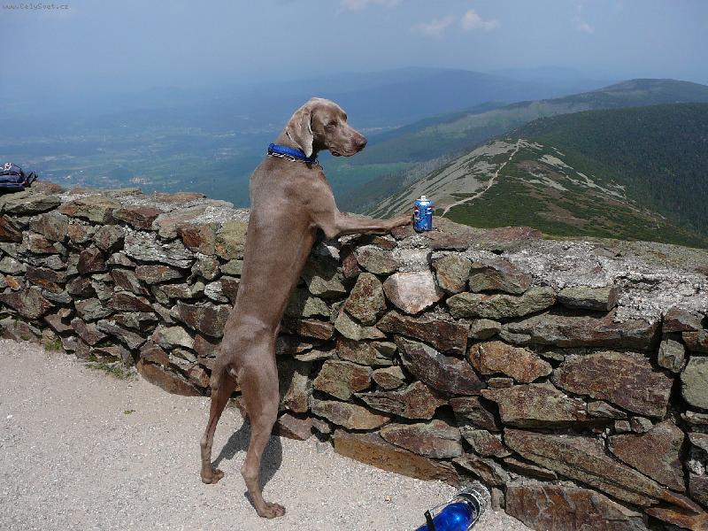 Foto: Faust-koch�m se ze Sn�ky