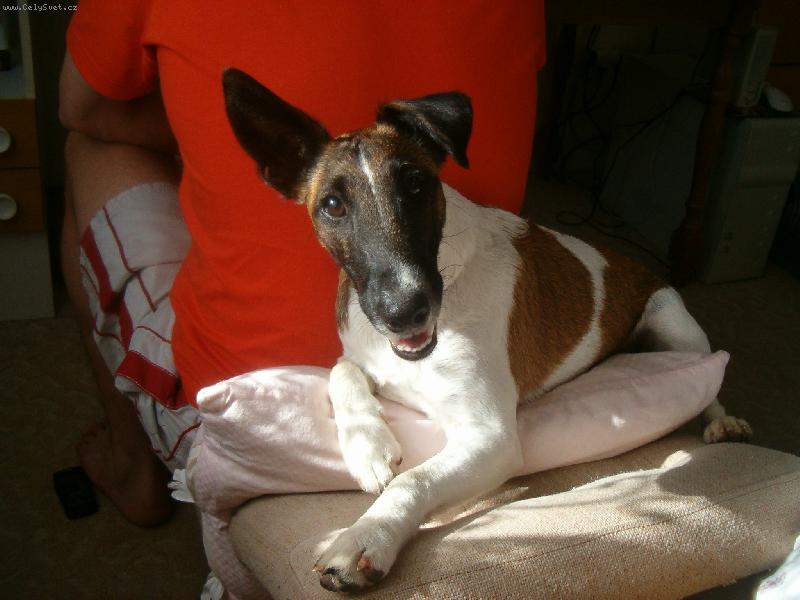 Foto: Bessy-To kouk�m