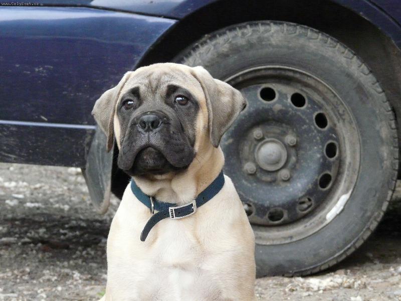 Foto: don Diego-don Diego