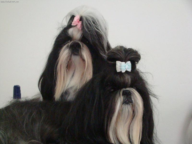 Foto: Mil��kov�-Uli a Andy