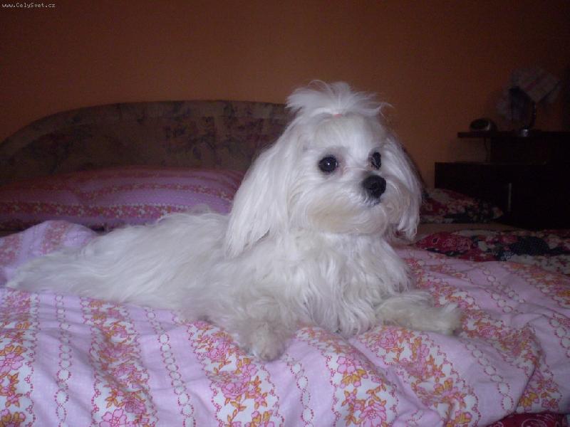 Foto: S�ra-Nejlep�� m�sto na span�