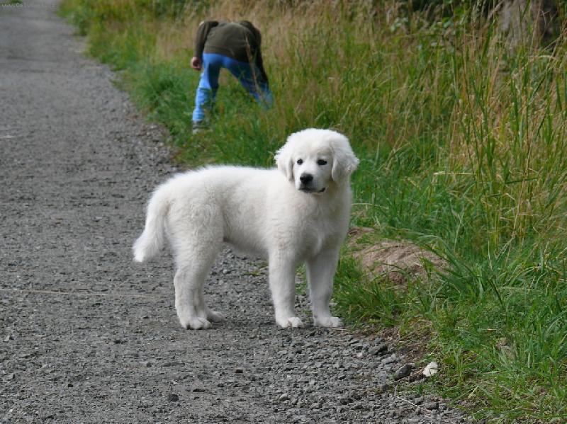 Foto: Tak kde to v�zne