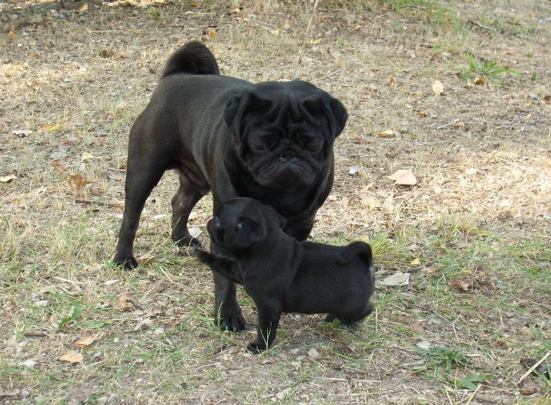 Foto: posledn� pac-Baron: lou�en�