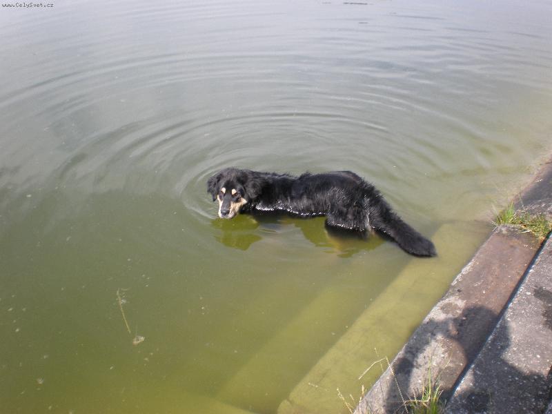 Foto: Akim moc r�d plave