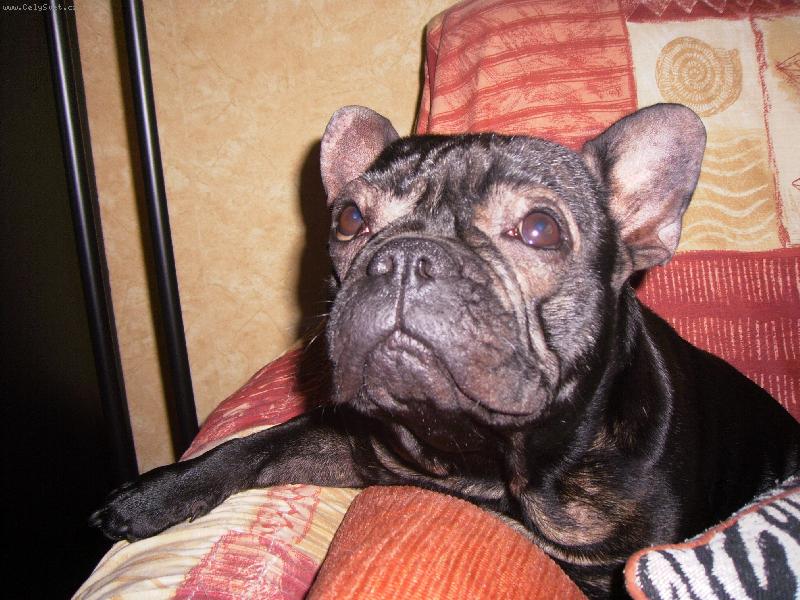 Foto: Barunka-Jsem pani�ky mil��ek