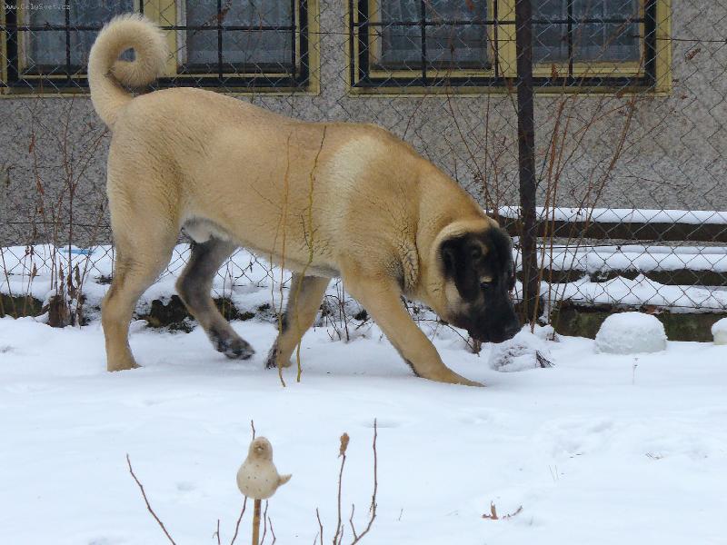 Foto:  �t�n�  6  m�s�c�