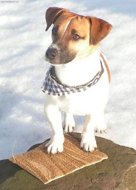 Foto: Happy-Pep��ek-modelka