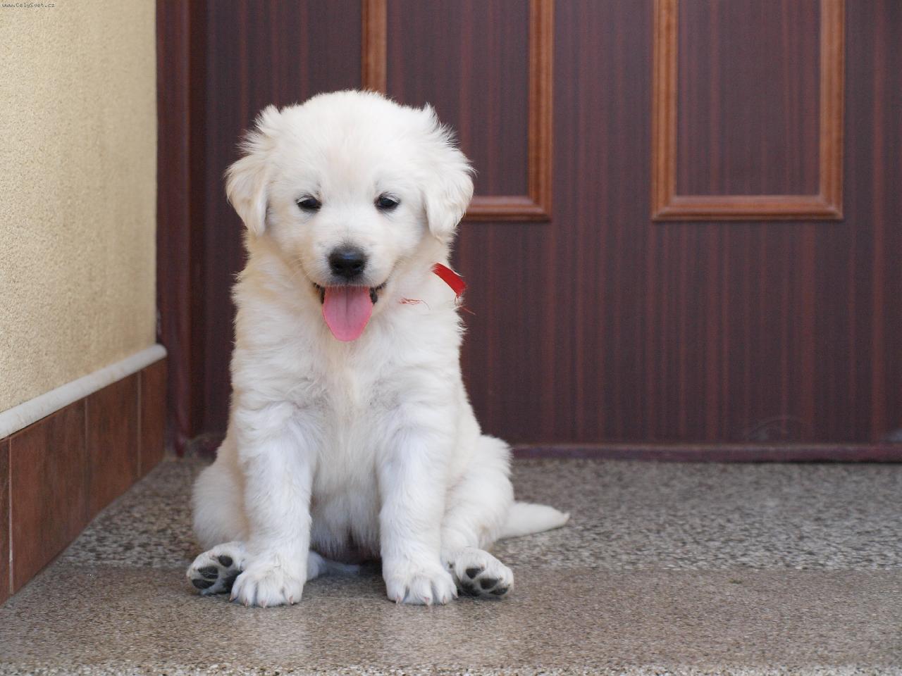 Foto: Slovensk� �uva�