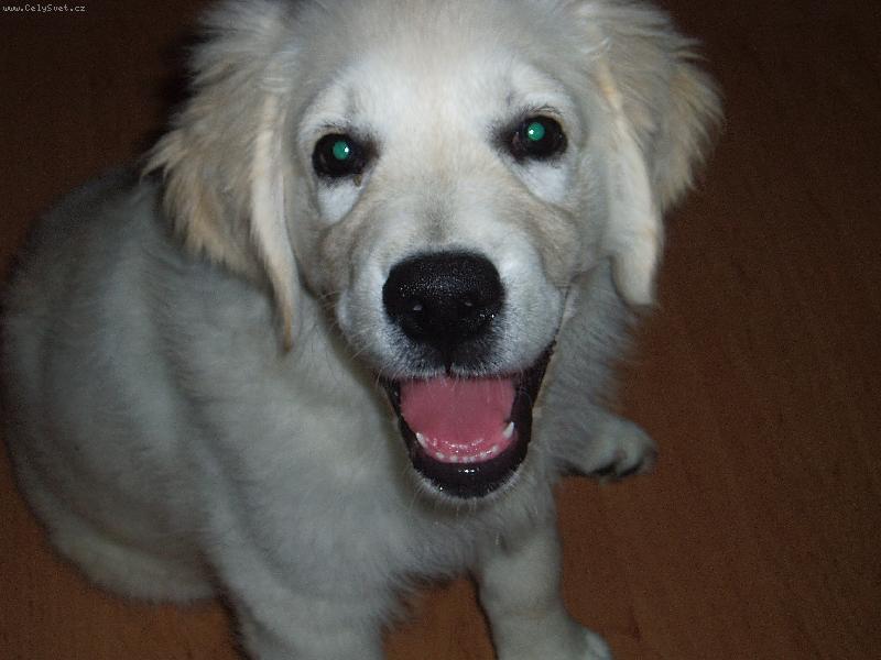 Foto: �sm�v pros�m