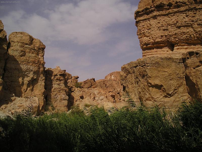 Foto: o�za v hor�ch