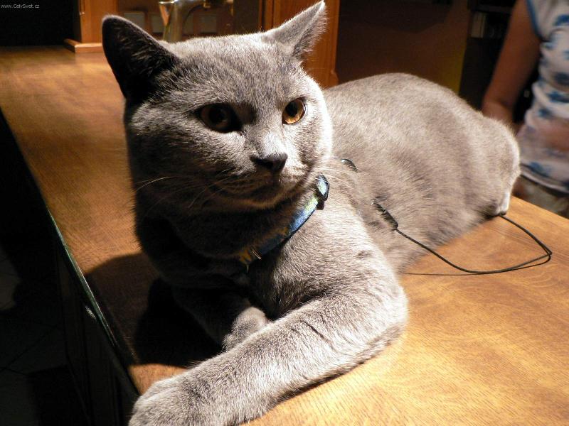 Foto: Hugo se vyhriva