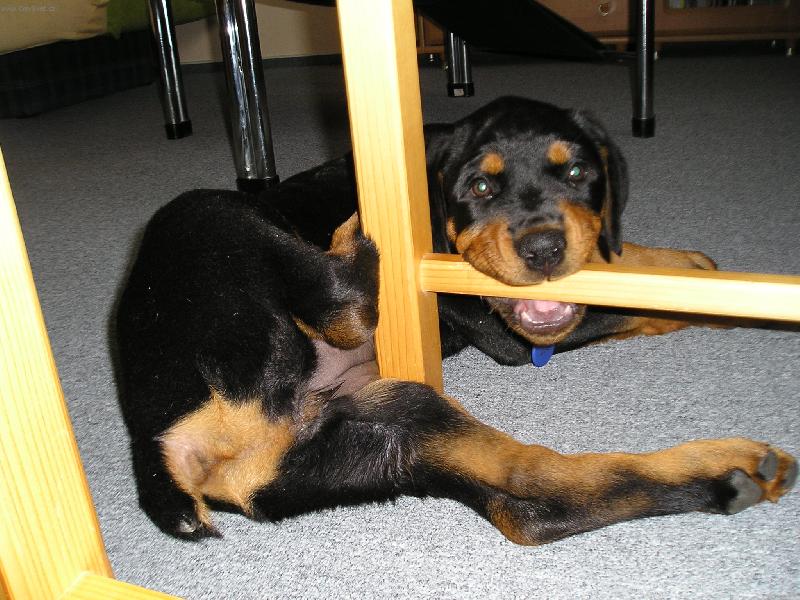 Foto: Mia-�e t� sn�m..