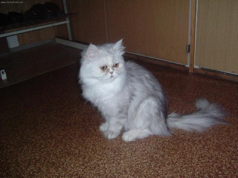 Foto: A maminka...