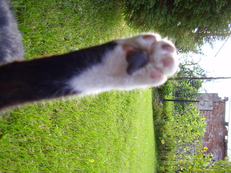 Foto: Bubu-stop!!!