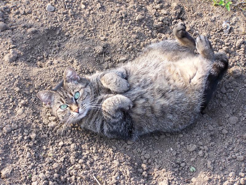 Foto: Jery-Odpo��v�