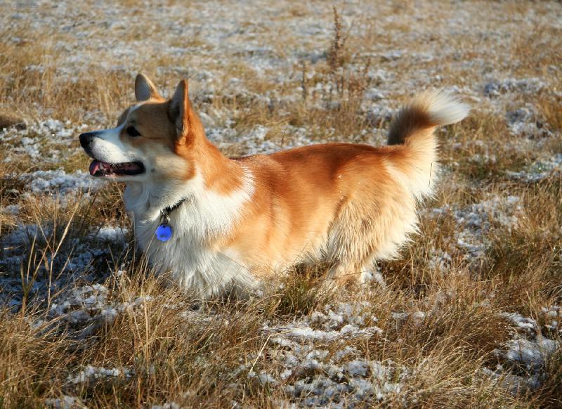 Foto: Darney-Darney Vranovsk� �leb