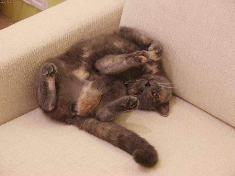 Foto: Odpoledn� siesta