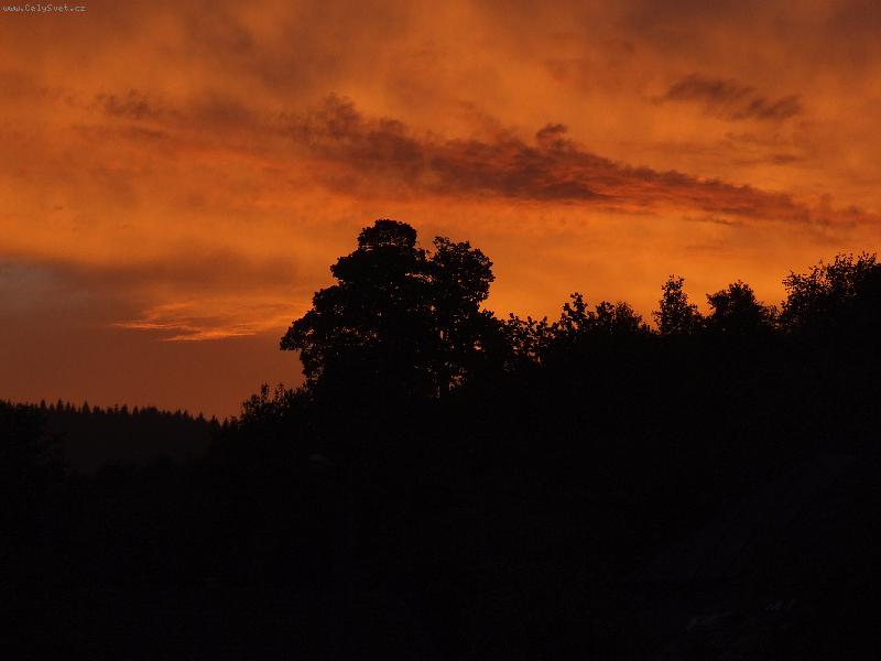 Foto: strom-Srom na v�chode