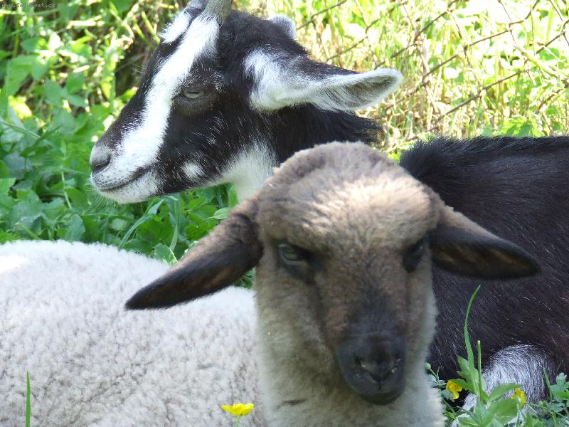 Foto: ja a ty-na�e dedictvo