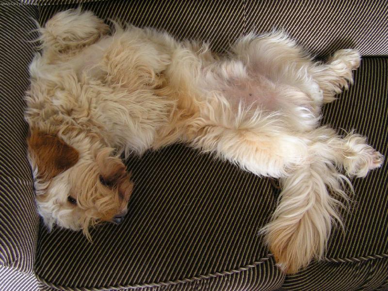 Foto: chrrrrchrr....-neru�it spink�m