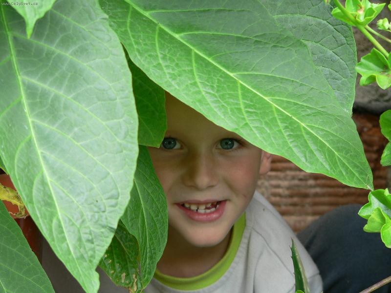 Foto: sk��tek-m�j syn za durmanem