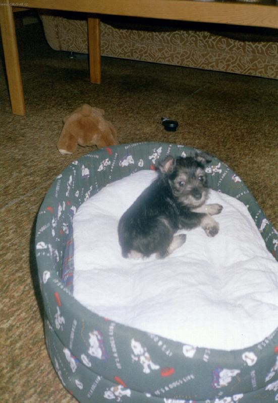 Foto: BENNY-to jsem se unavil