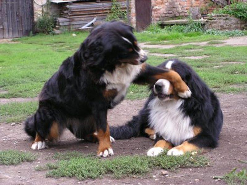 Foto: Nekoukoukej se na m�!!!