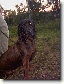 Bavorsk� barv��