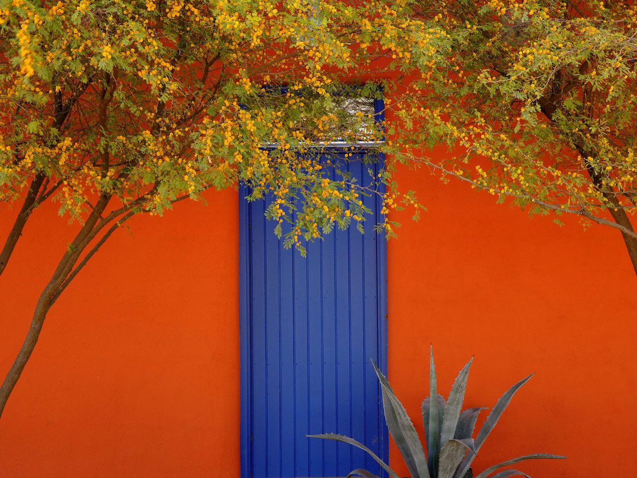 Foto: Barrio District, Tucson, Arizona