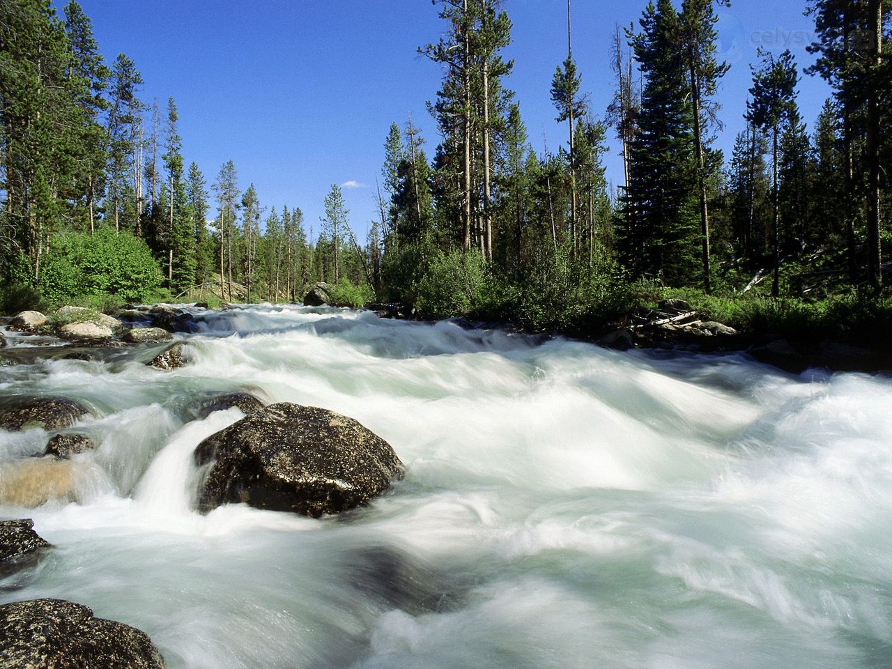 Foto: Redfish Creek, Idaho