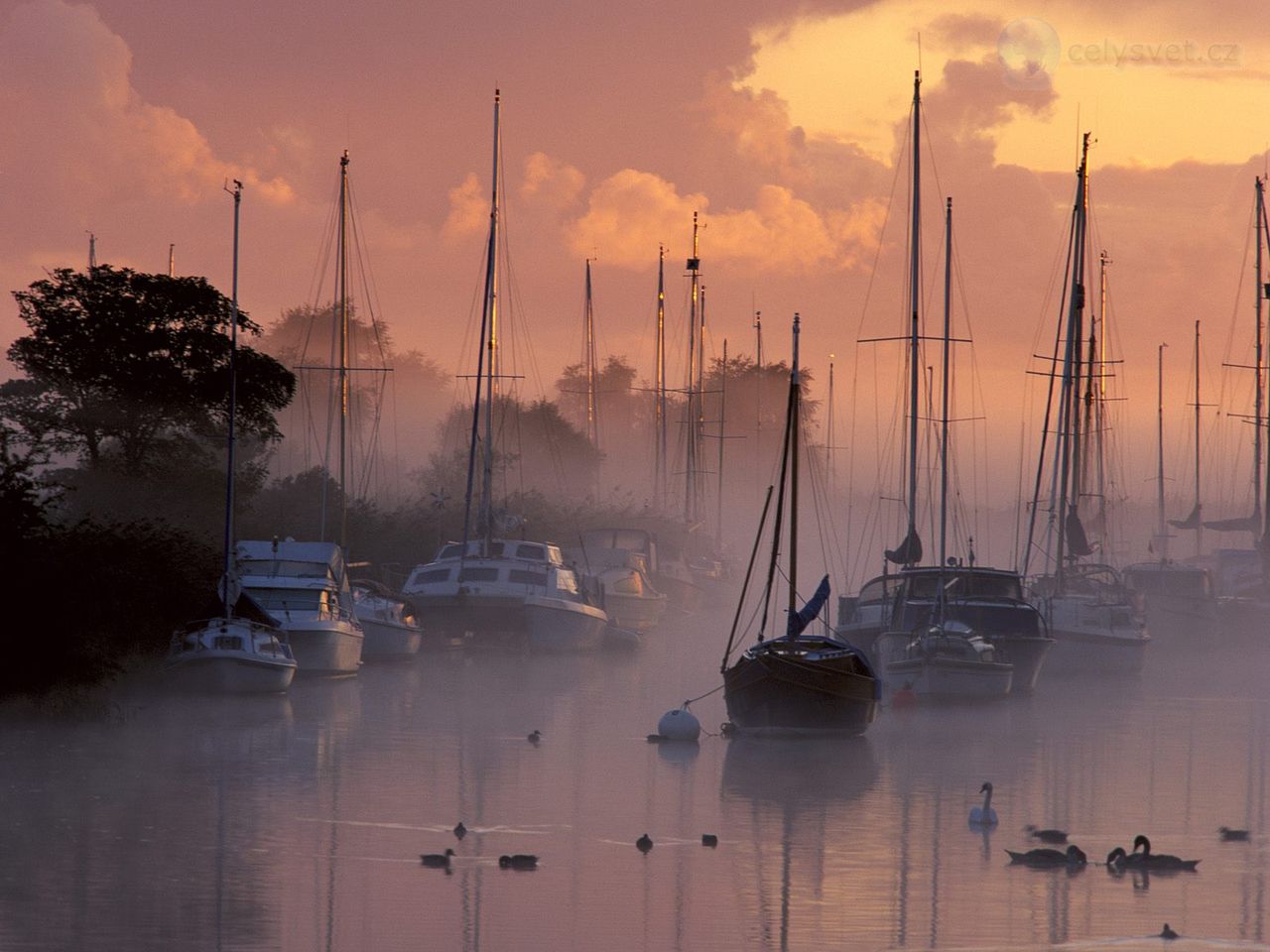 Foto: Wareham, Dorset, England