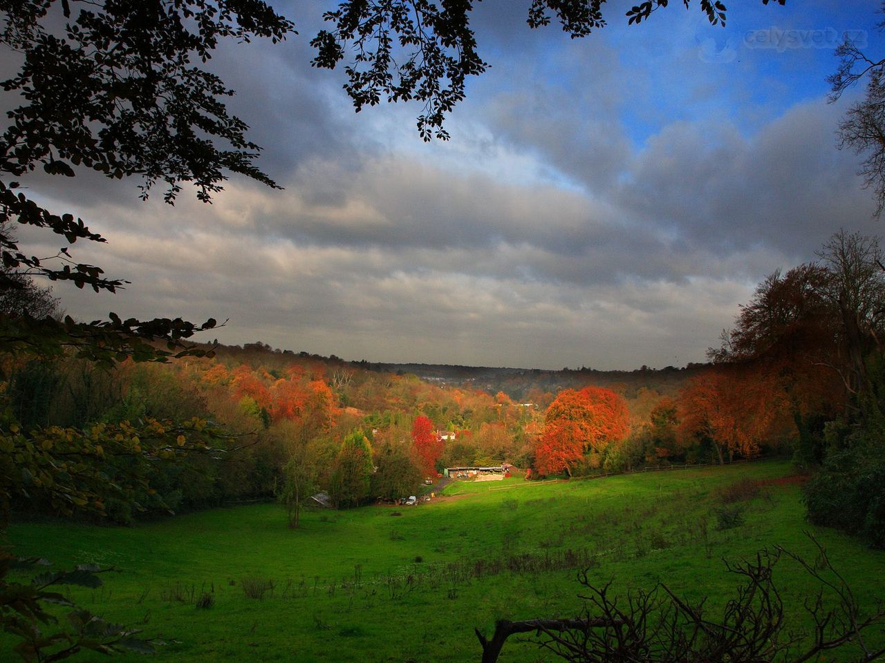 Foto: Peeking Through The Trees, Near Merstham, Surrey, England