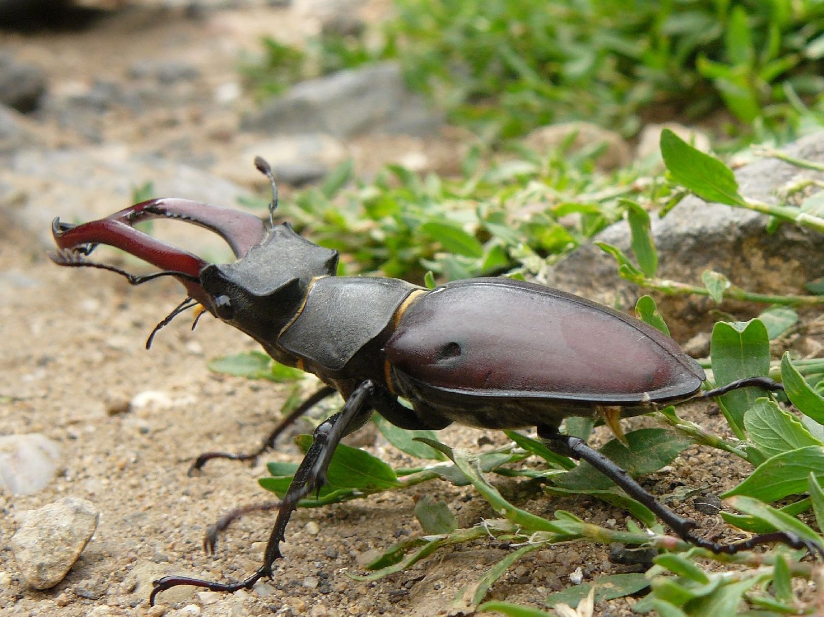 Foto: M�l jsem �t�st�