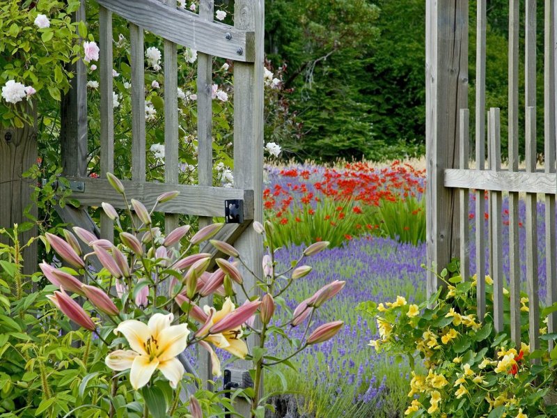 Foto: Garden Gate, Bainbridge Island, Washington