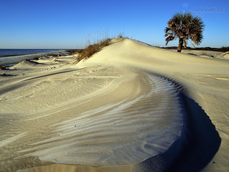 Foto: Cumberland Island National Seashore, Georgia