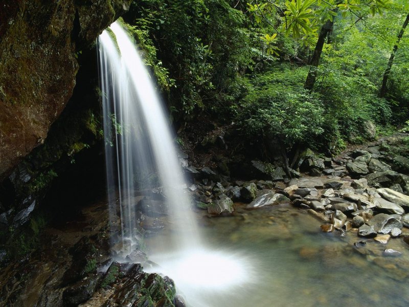 Foto: Grotto Falls, Great Smoky Mountains National Park, Tennessee