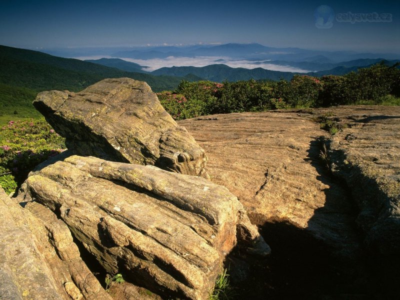 Foto: Jane Bald In June, Roan Mountain, North Carolina