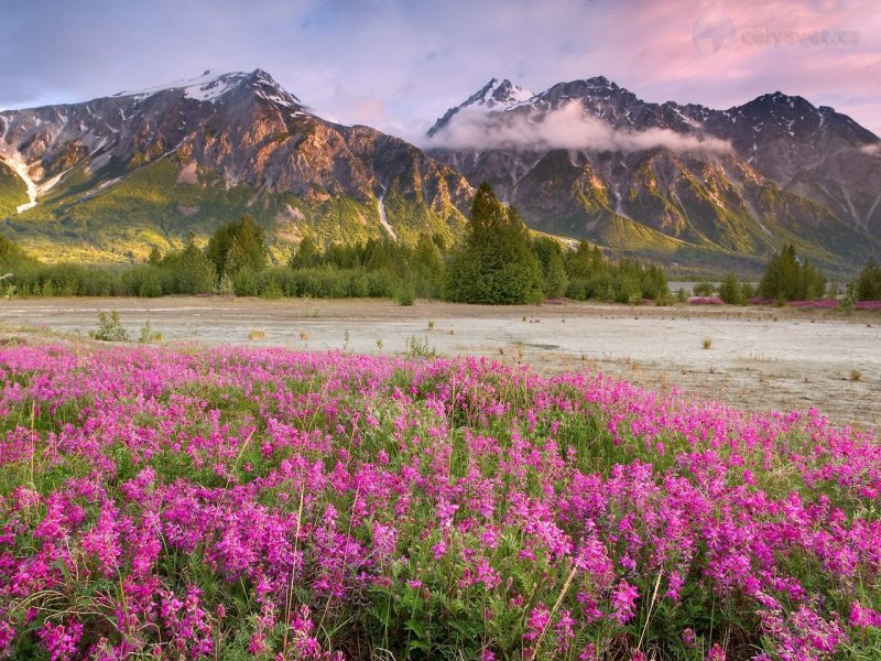 Foto: Twilight At The Confluence, Tatshenshini Alsek Wilderness, British Columbia, Canada